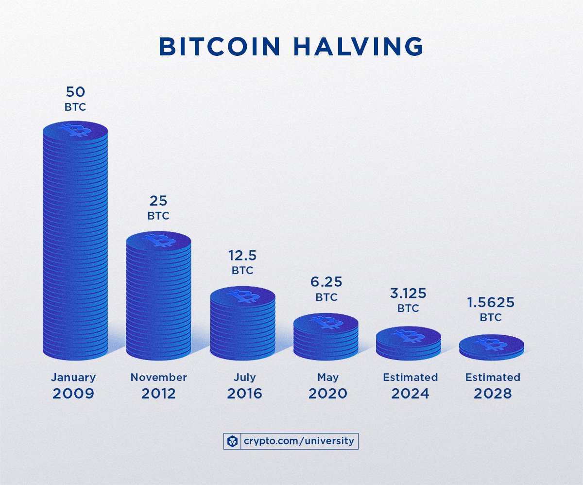 Bitcoin Halving Infographic